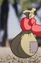 Magical sack